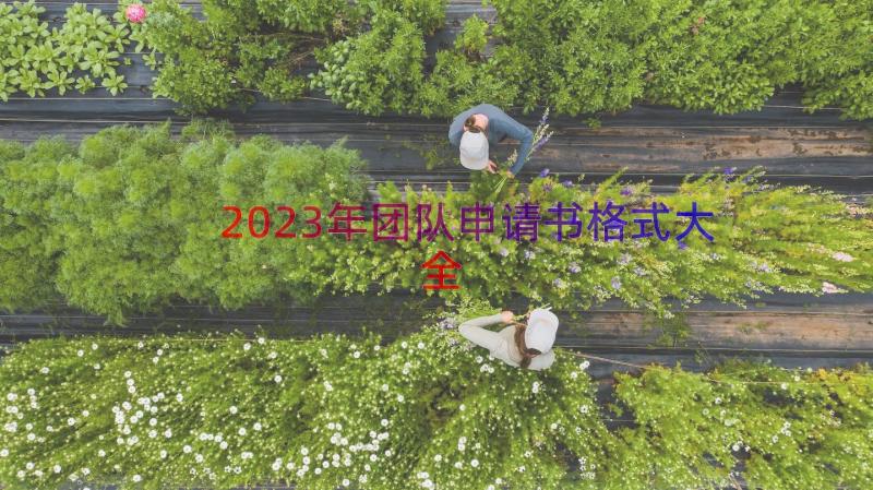 2023年团队申请书格式大全（17篇）