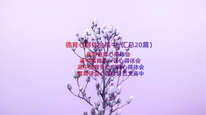 德育心得体会高中（汇总20篇）