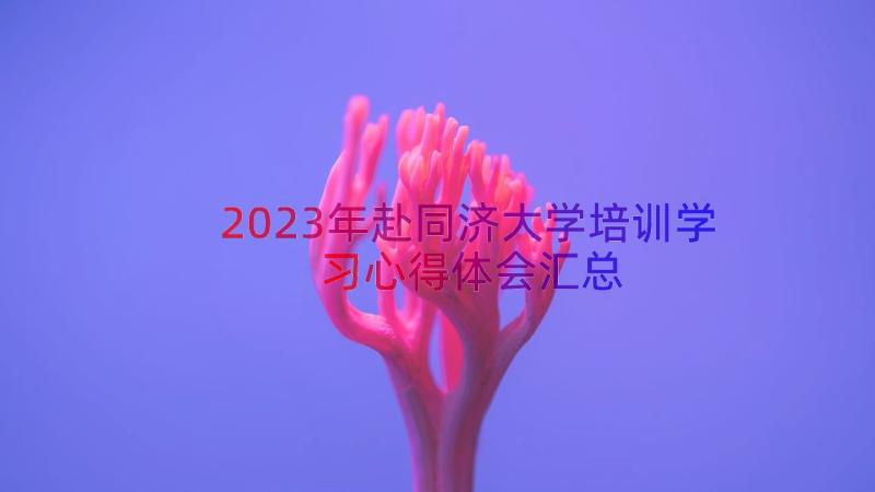 2023年赴同济大学培训学习心得体会（汇总14篇）