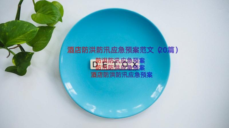 酒店防洪防汛应急预案范文（20篇）