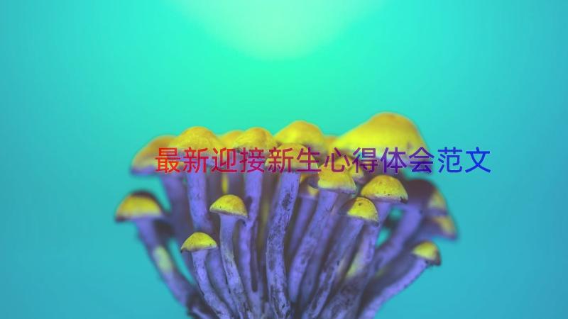 最新迎接新生心得体会范文（15篇）