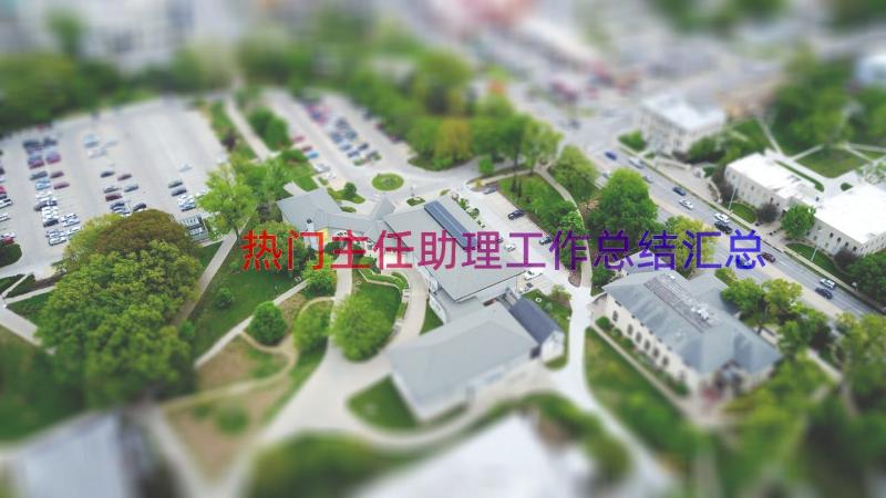 热门主任助理工作总结（汇总15篇）