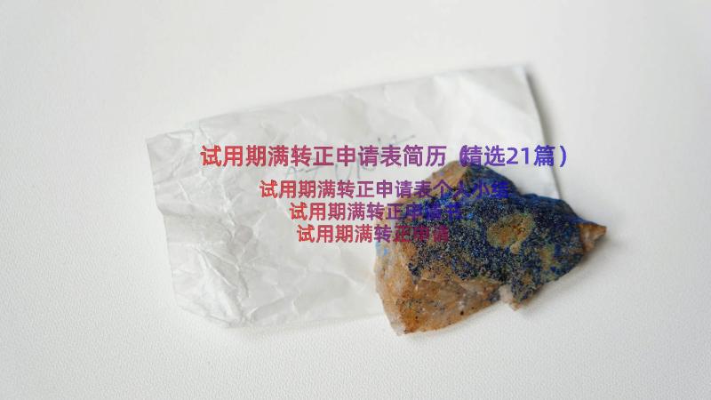 试用期满转正申请表简历（精选21篇）