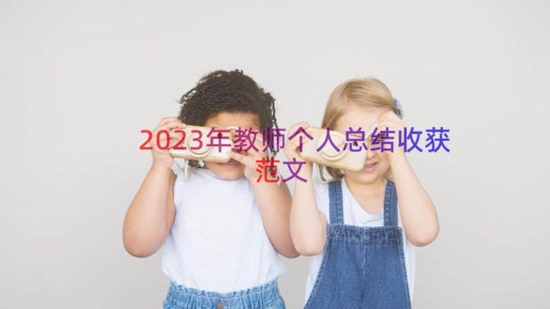 2023年教师个人总结收获范文（17篇）