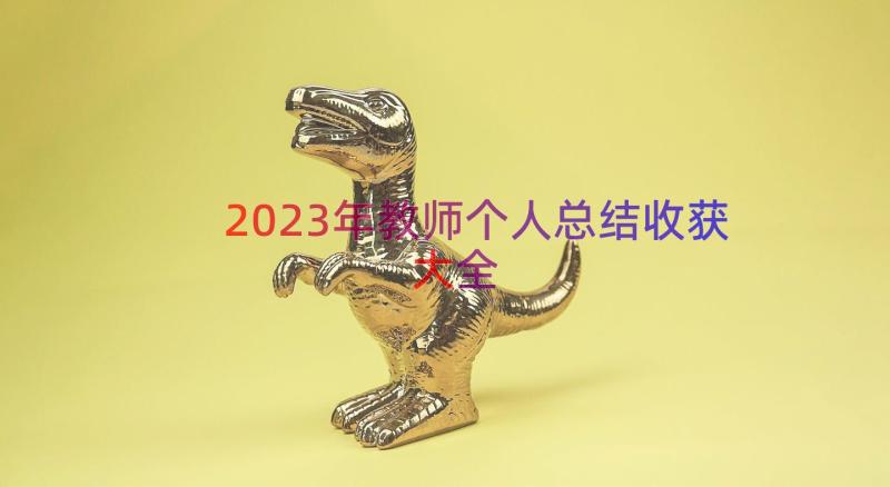 2023年教师个人总结收获大全（14篇）