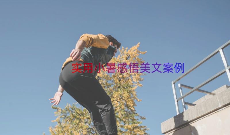 实用小暑感悟美文（案例18篇）