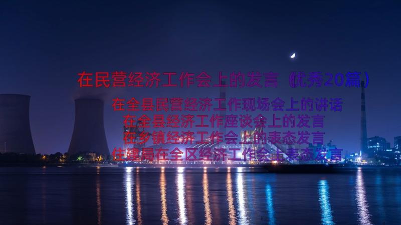 在民营经济工作会上的发言（优秀20篇）