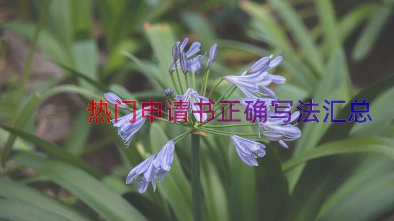 热门申请书正确写法（汇总19篇）