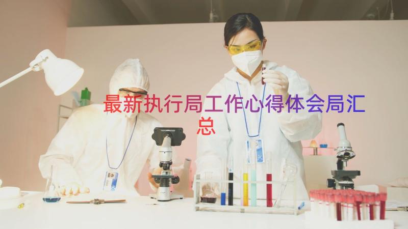 最新执行局工作心得体会局（汇总12篇）