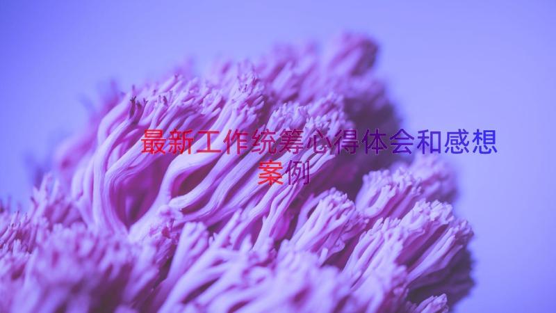 最新工作统筹心得体会和感想（案例17篇）