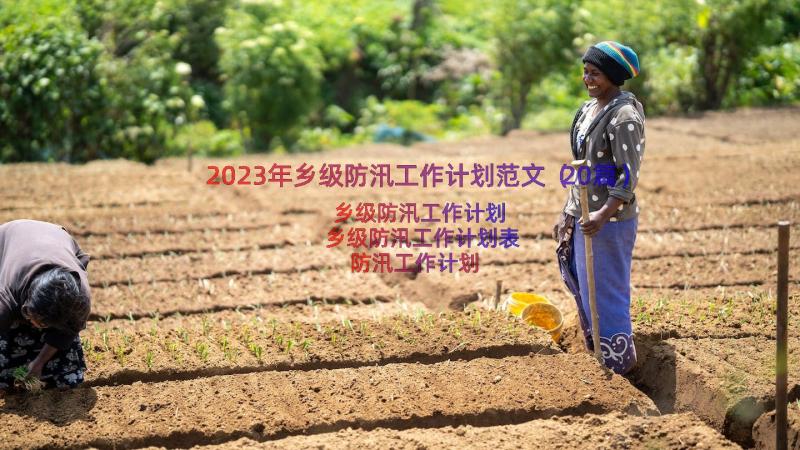 2023年乡级防汛工作计划范文（20篇）