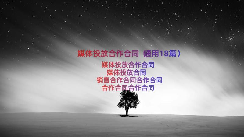 媒体投放合作合同（通用18篇）