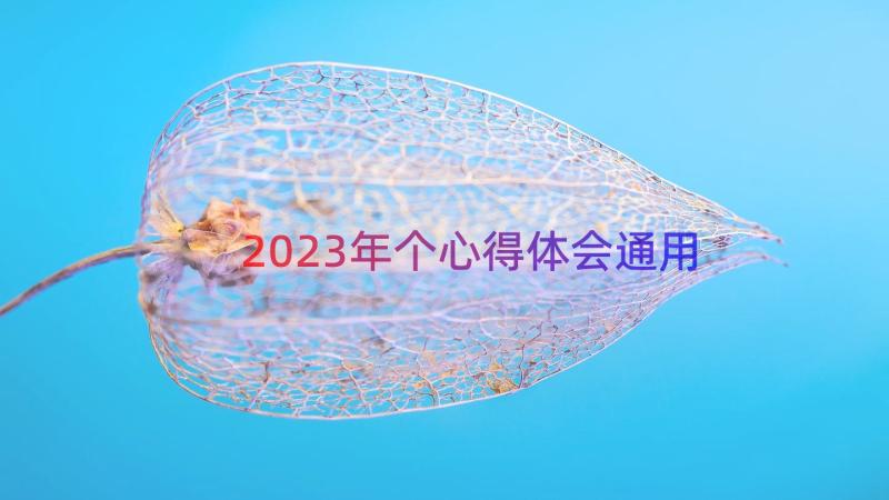 2023年个心得体会（通用14篇）