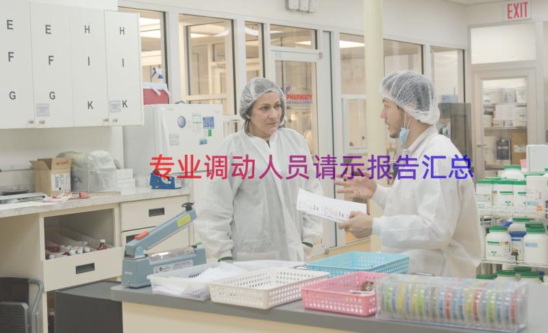 专业调动人员请示报告（汇总15篇）