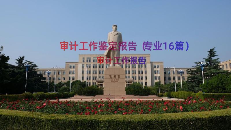 审计工作鉴定报告（专业16篇）