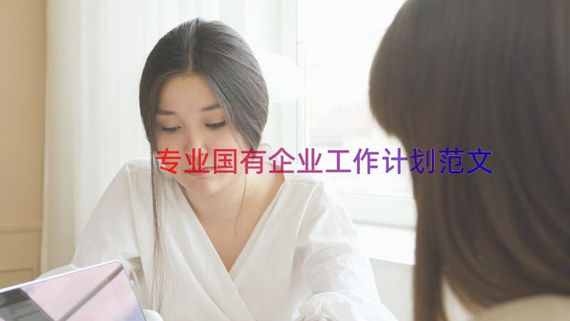 专业国有企业工作计划范文（17篇）