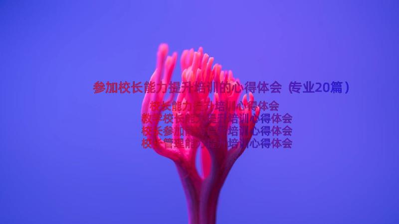 参加校长能力提升培训的心得体会（专业20篇）