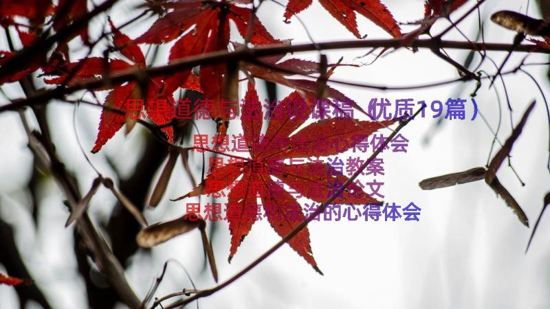 思想道德与法治说课稿（优质19篇）