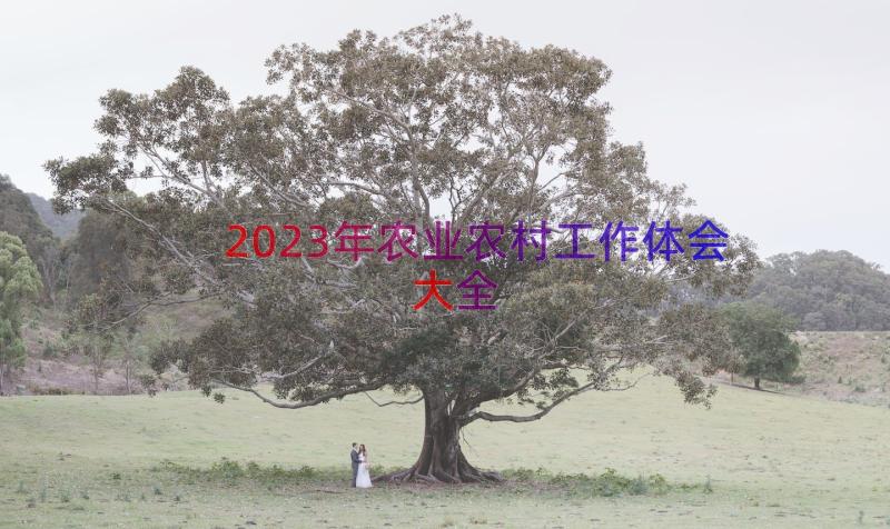 2023年农业农村工作体会大全（13篇）