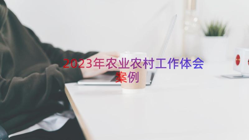 2023年农业农村工作体会（案例13篇）