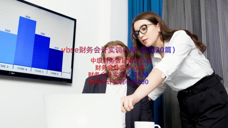 vbse财务会计实训心得（实用20篇）