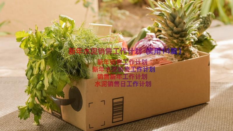 新年水泥销售工作计划（实用14篇）