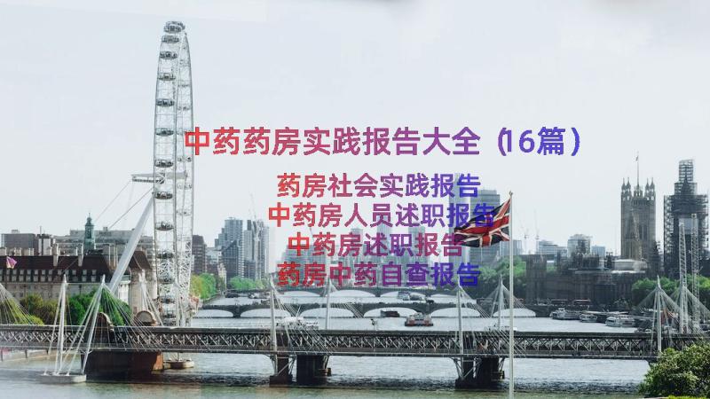 中药药房实践报告大全（16篇）