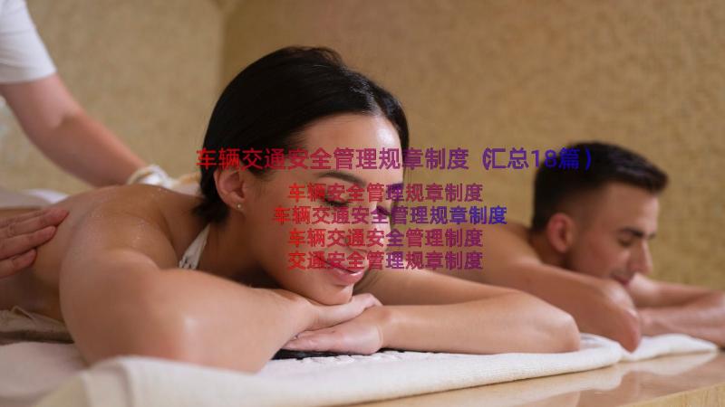 车辆交通安全管理规章制度（汇总18篇）