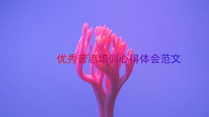 优秀普惠培训心得体会范文（12篇）