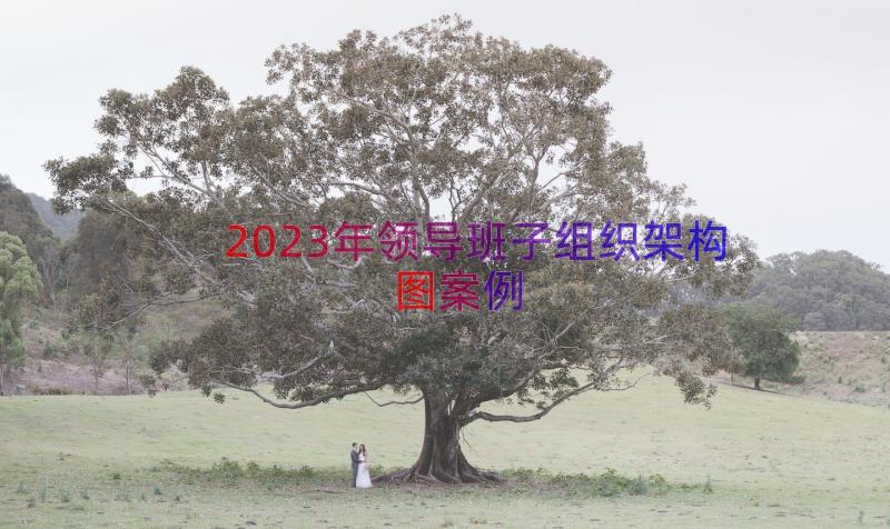 2023年领导班子组织架构图（案例16篇）