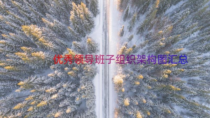 优秀领导班子组织架构图（汇总15篇）