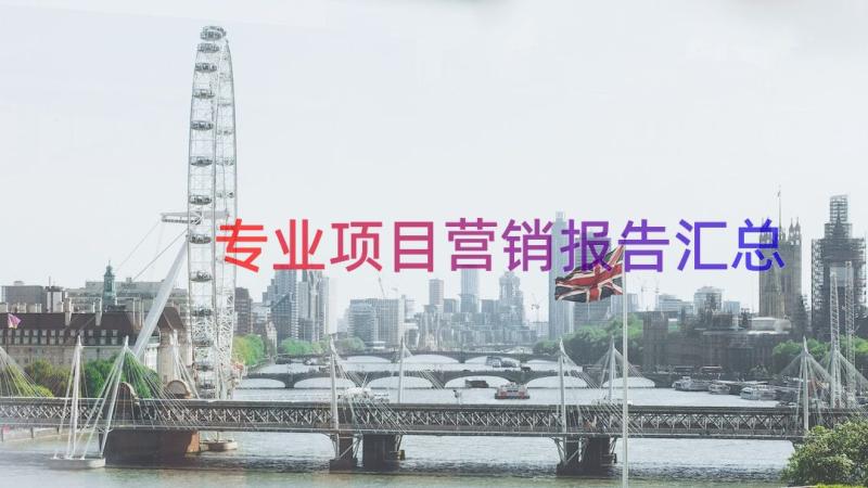 专业项目营销报告（汇总15篇）