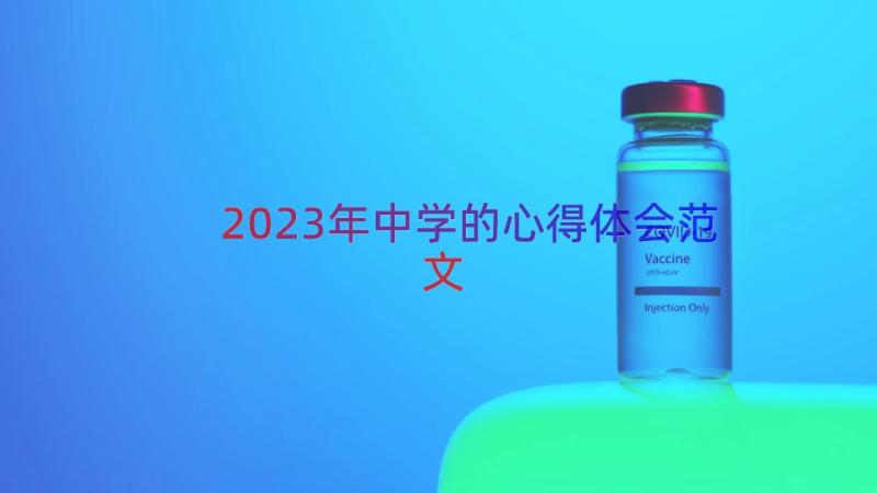 2023年中学的心得体会范文（16篇）