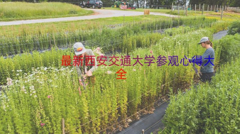 最新西安交通大学参观心得大全（15篇）