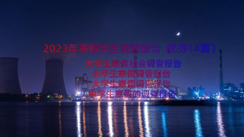 2023年寒假学生调查报告（优秀14篇）