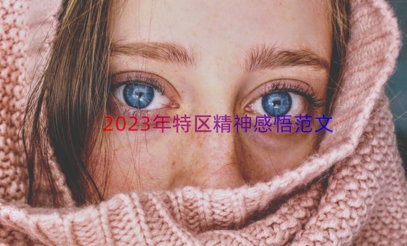 2023年特区精神感悟范文（19篇）