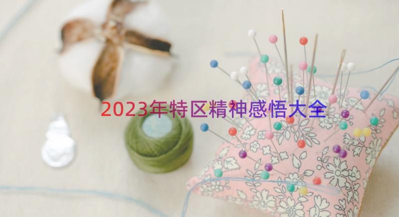 2023年特区精神感悟大全（15篇）