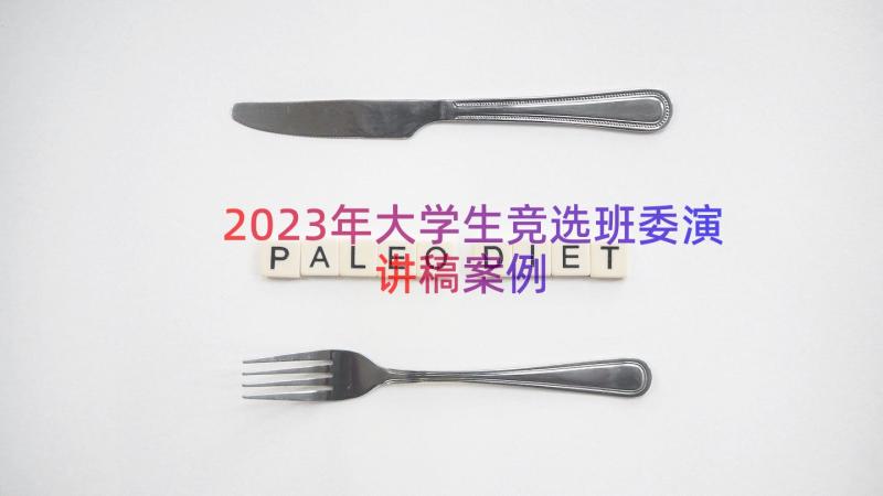 2023年大学生竞选班委演讲稿（案例15篇）