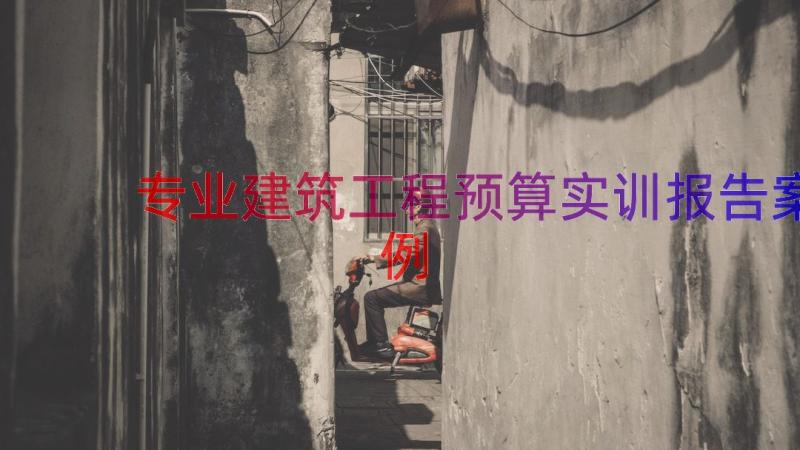 专业建筑工程预算实训报告（案例18篇）