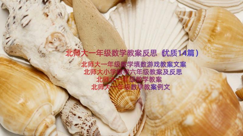 北师大一年级数学教案反思（优质14篇）