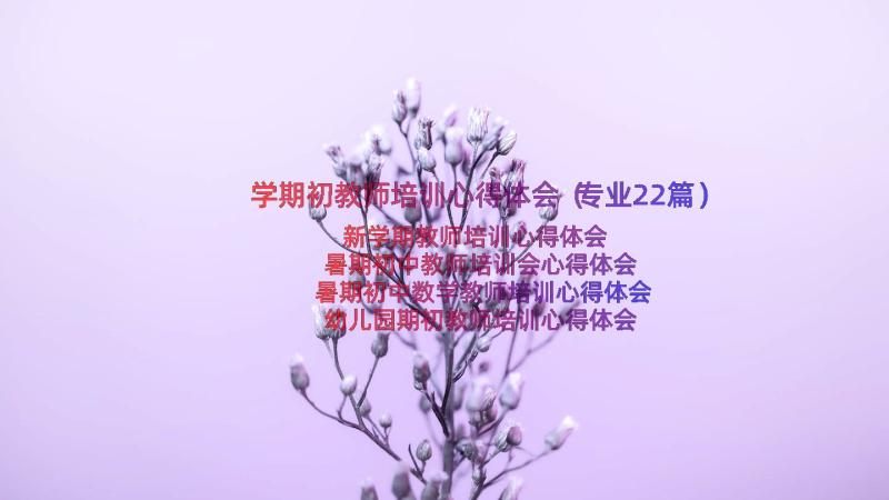 学期初教师培训心得体会（专业22篇）