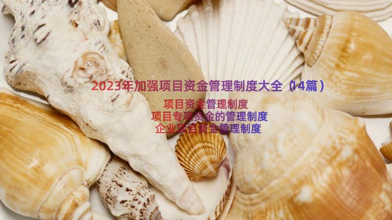 2023年加强项目资金管理制度大全（14篇）