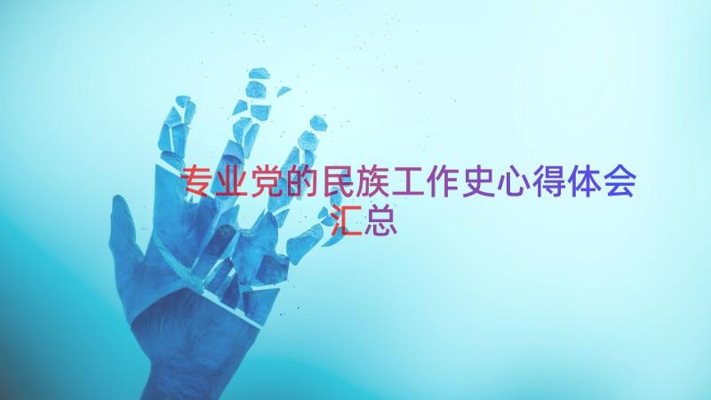 专业党的民族工作史心得体会（汇总14篇）