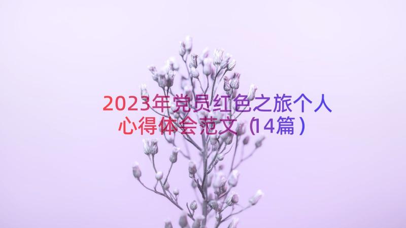 2023年党员红色之旅个人心得体会范文（14篇）