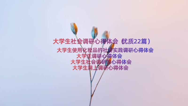 大学生社会调研心得体会（优质22篇）