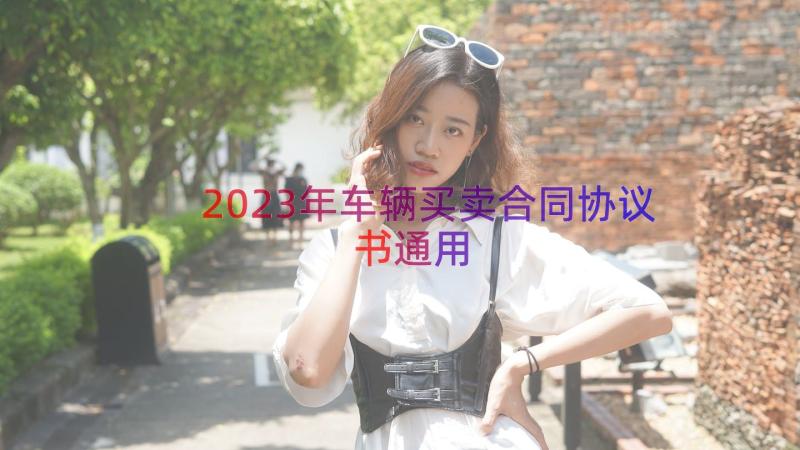 2023年车辆买卖合同协议书（通用17篇）