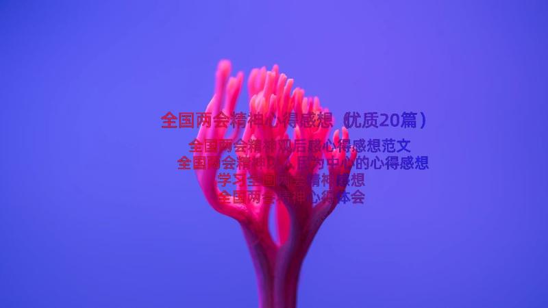 全国两会精神心得感想（优质20篇）