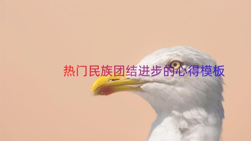 热门民族团结进步的心得（模板14篇）