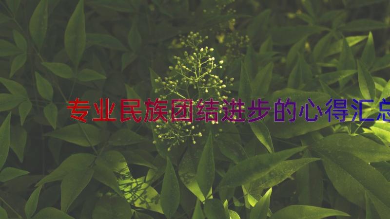 专业民族团结进步的心得（汇总16篇）