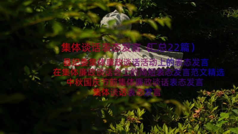 集体谈话表态发言（汇总22篇）